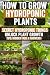 How to Grow Hydroponic Plan...