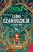 W ciemny bór (Leśni Czarodzieje, #1)