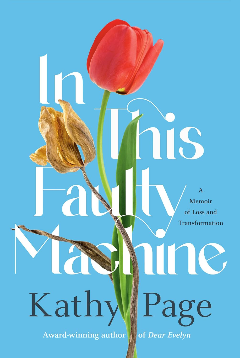 In This Faulty Machine: A Memoir of Loss and Transformation (Hardcover)