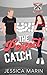 The Perfect Catch: A Single Dad, Age-Gap, Falling for the Nanny, Baseball Romance