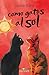 Como gatos al sol: Romance prohibido LGBT (Colección Arcoíris nº 1) (Spanish Edition)