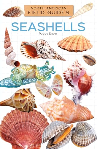 Seashells (North American Field Guides Set 2)