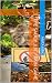 THE SAUCY JUICY PAIN GAME by Anita Kirk THE SAUCY JUICY PAIN GAME by Anita Kirk