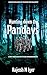 Hunting down the Pandavs: A...