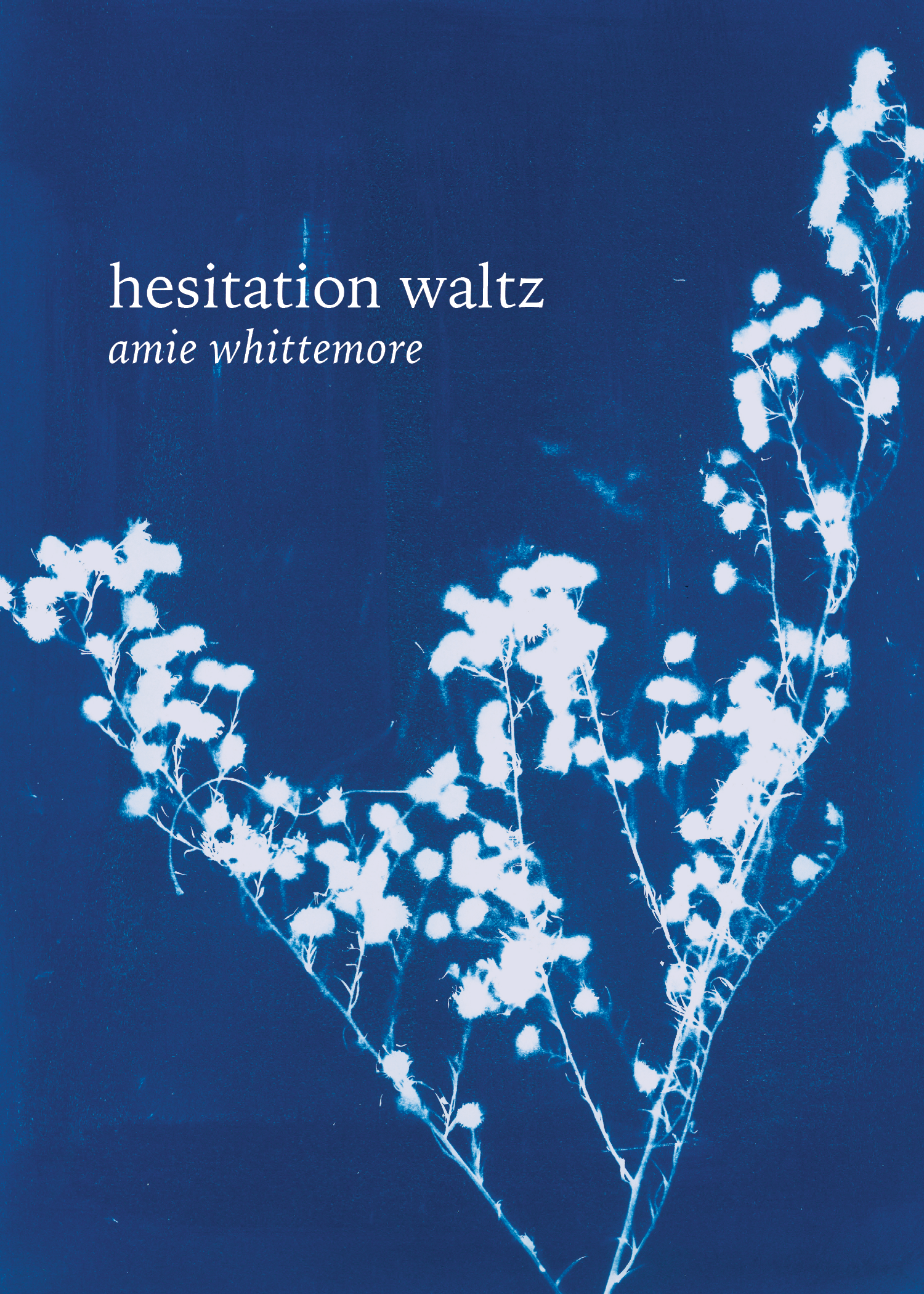 Hesitation Waltz