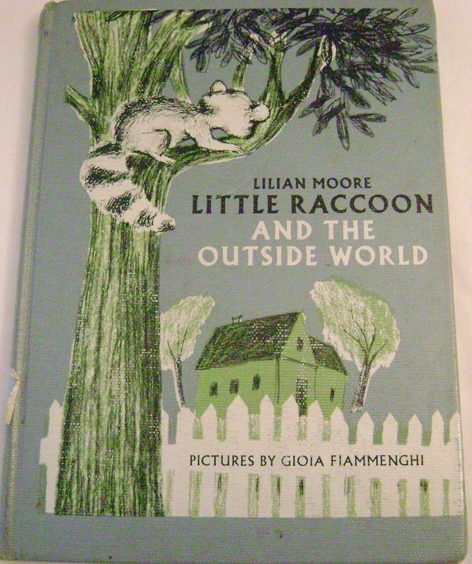 Little Raccoon and the Outside World