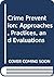 Crime Prevention: Approaches, Practices, and Evaluations