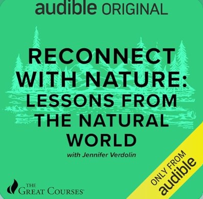 Reconnect with Nature: Lessons from the Natural World