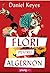 Flori pentru Algernon