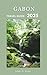 Gabon Travel Guide 2025: Ex...
