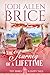 The Journey of a Lifetime by Jodi Allen Brice