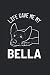 German Shepherd Bella Pet L...
