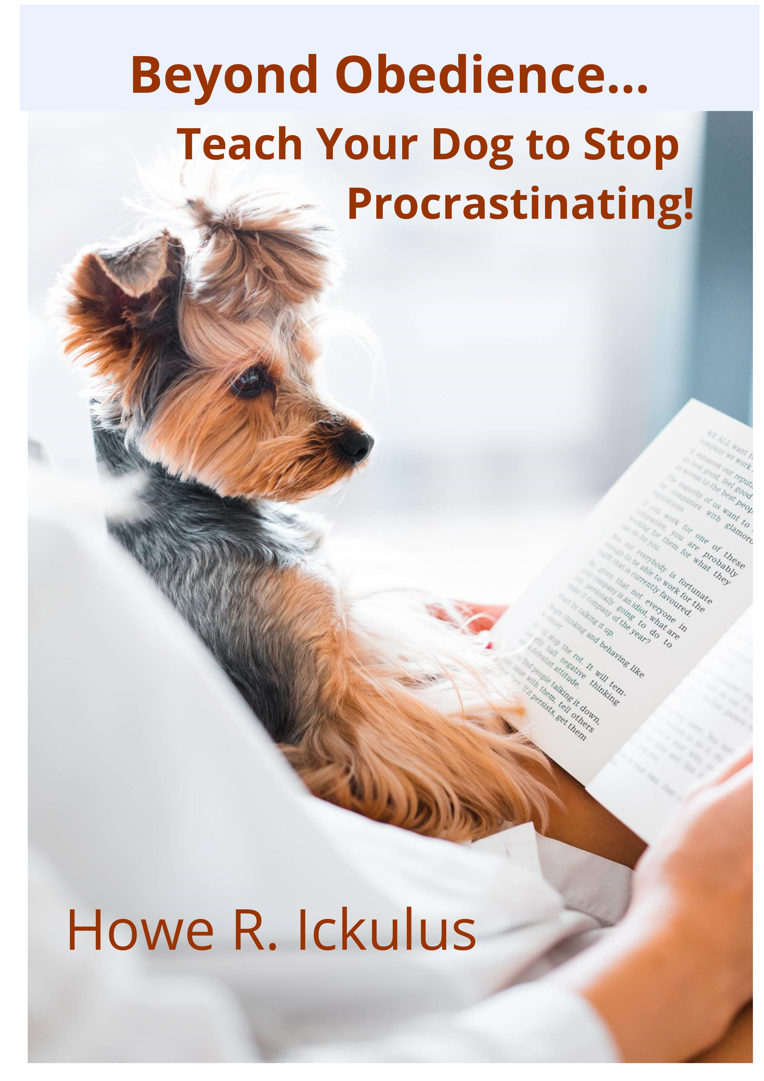 Beyond Obedience... Teach Your Dog to Stop Procrastinating!