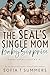 The SEALs' Single Mom Baby Surprise (Forbidden Fantasies)