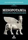 Mesopotamia: Hist...