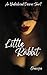 Little Rabbit (Undisclosed ...