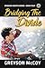Bridging the Divide (Volume 4) by Greyson McCoy