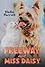 Freeway and Miss Daisy by Stella Perrott