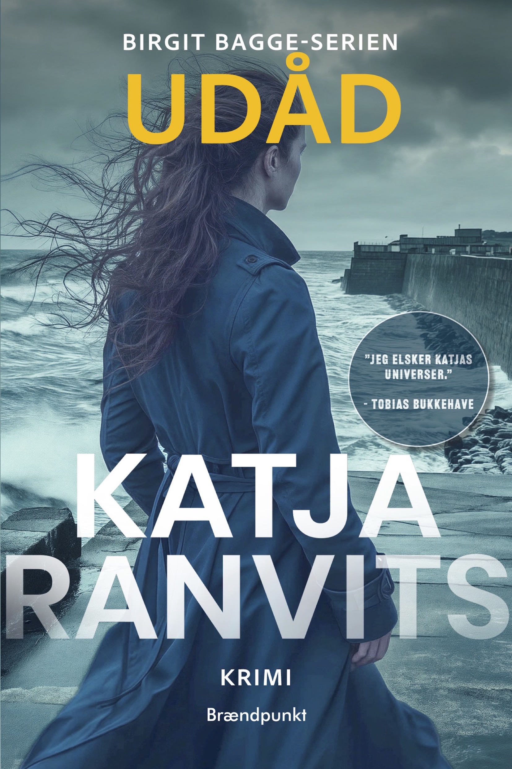 Udåd (Birgit Bagge-serien, #3)