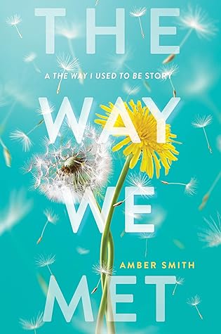 The Way We Met (The Way I Used to Be, #2.5)