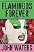 Flamingos Forever
