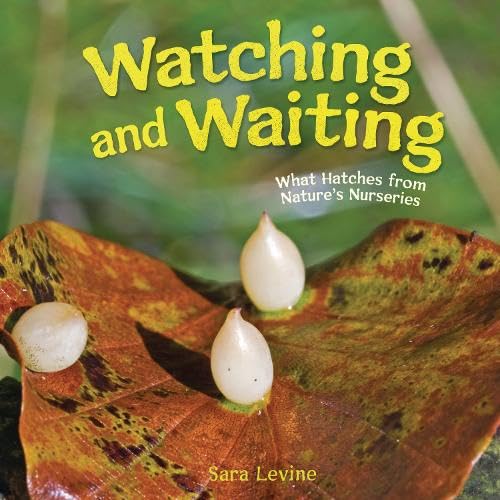 Watching and Waiting: What Hatches from Nature's Nurseries (Library Binding)