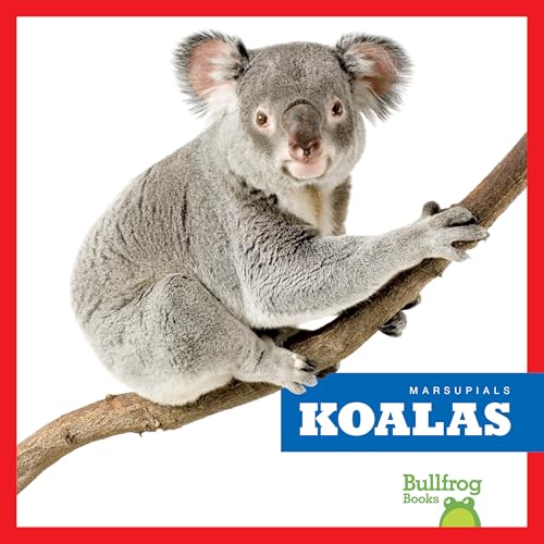 Koalas (Marsupials)