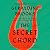 The Secret Chord