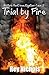 Trial by Fire by Rey Nichols