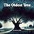 The Oldest Tree