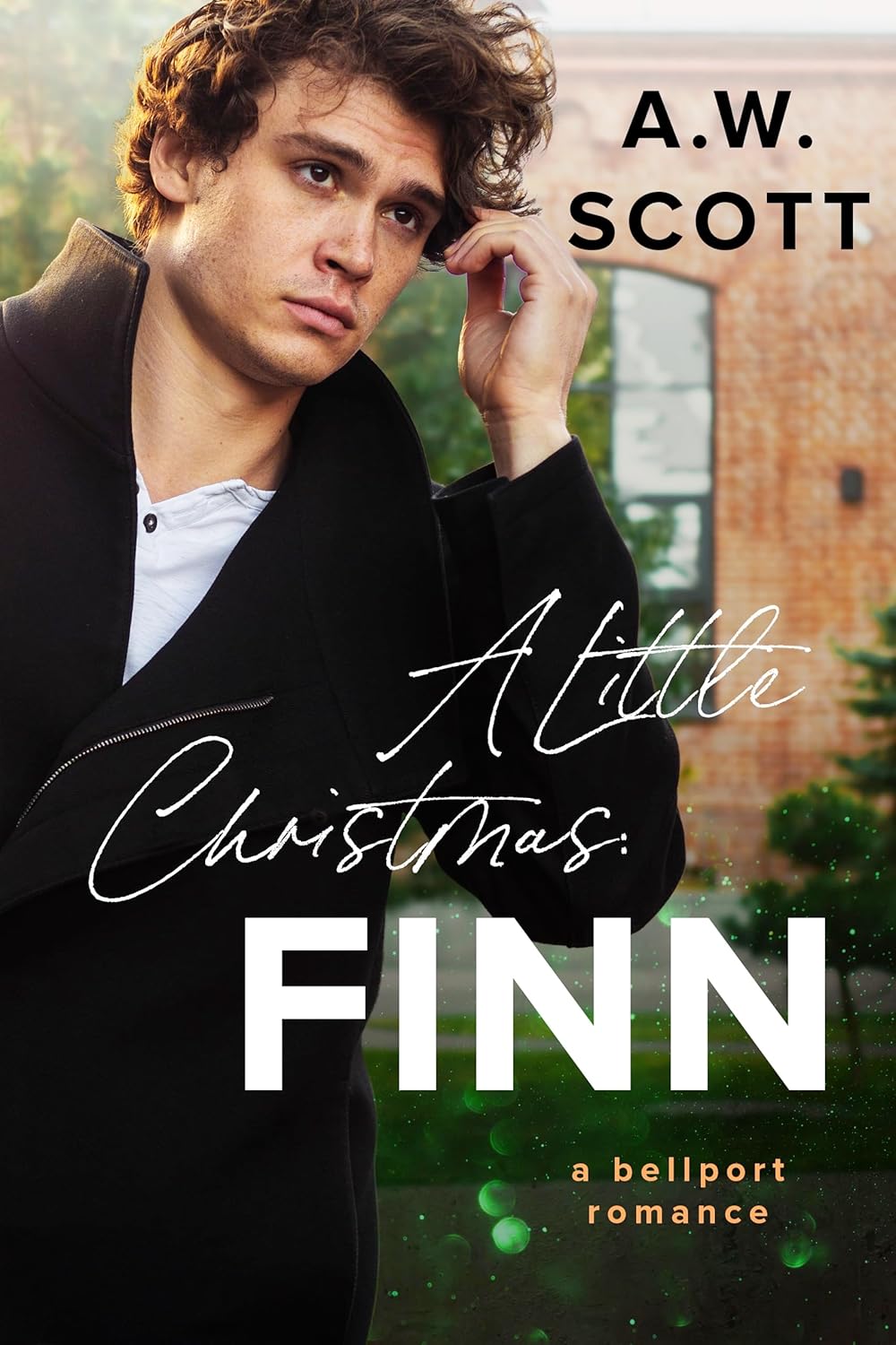 A Little Christmas: Finn (Bellport #1)