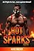 Hot Sparks by Alice  Walker