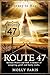 Route 47: A Journey to Heaven