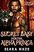 Secret Baby for the Alpha P...