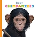Baby Chimpanzees