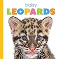 Baby Leopards