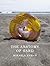 The Anatomy of Sand by Mikaela Nyman