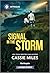 Signal in the Storm (Lighthouse Mysteries, 3)