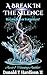 A Break in the Silence by Donald T. Hardison II