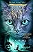 Acu gaisma by Erin Hunter