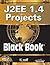 J2EE 1.4 Projects, w/CD