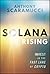 Solana Rising: Investing in the Fast Lane of Crypto