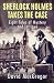 Sherlock Holmes Takes The Case by David MacGregor