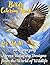 Birds Сoloring Book for Adults by Nancy Dennis