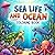 Sea Life & Ocean Coloring B...