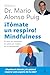 ¡Tómate un respiro! Mindfulness: El arte de mantener la calma en medio de la tempestad