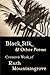Black Silk and Other Poems:...
