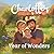 Charlotte's Year of Wonders...