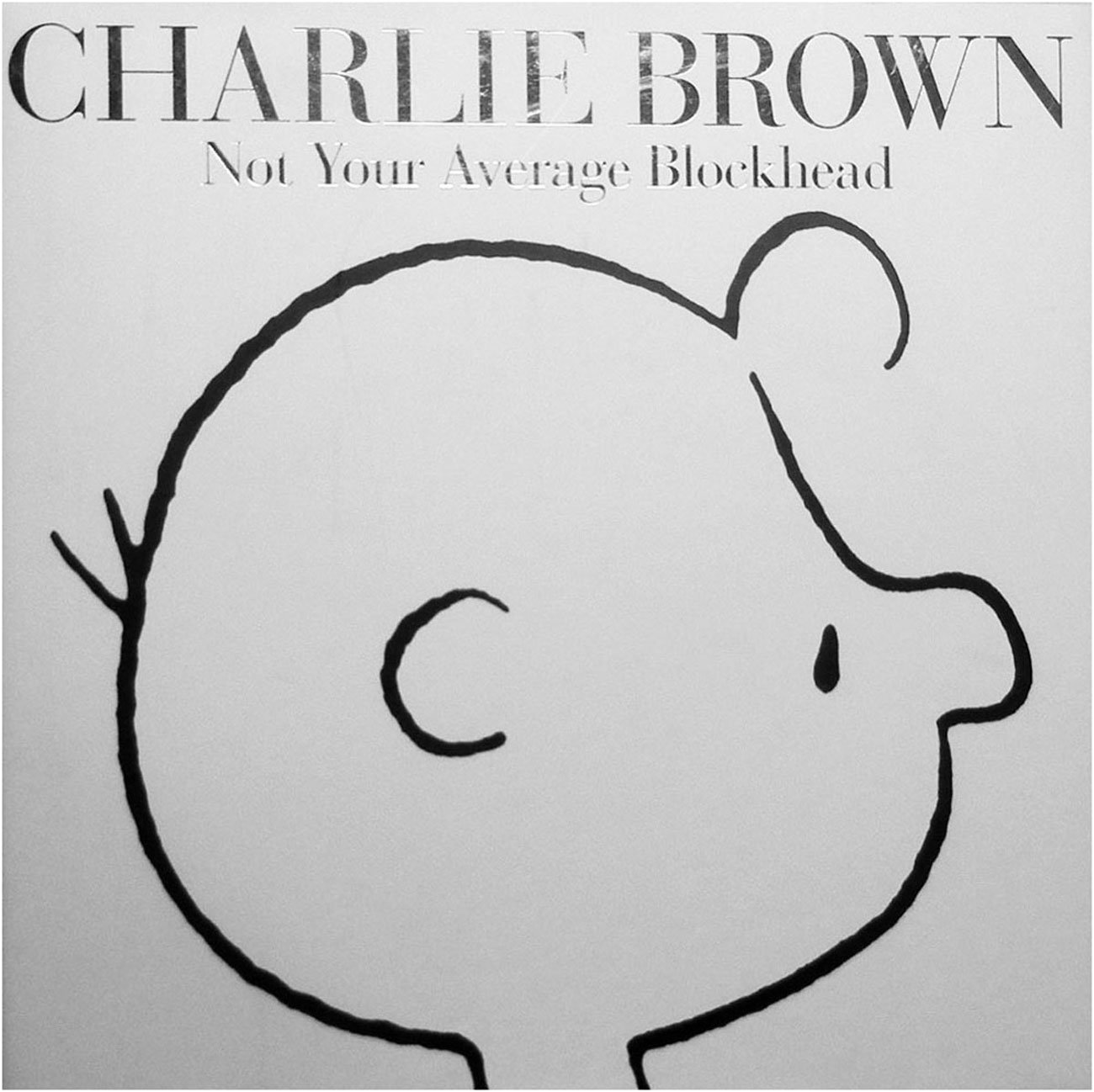 Charlie Brown: Not Your Average Blockhead
