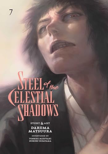 Steel of the Celestial Shadows, Vol. 7 (Paperback)